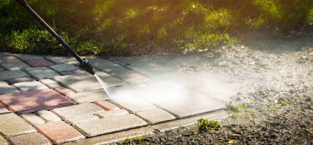 Animal Enclosure Cleaning in Ludington, MI